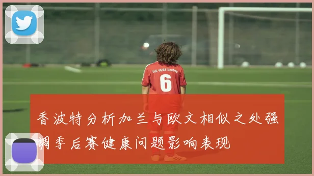 香波特分析加兰与欧文相似之处强调季后赛健康问题影响表现