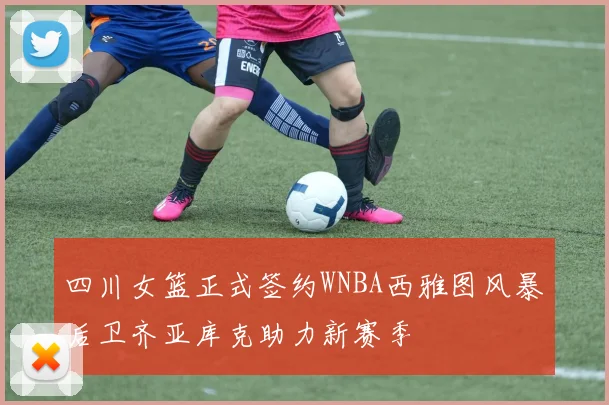 四川女篮正式签约WNBA西雅图风暴后卫齐亚库克助力新赛季